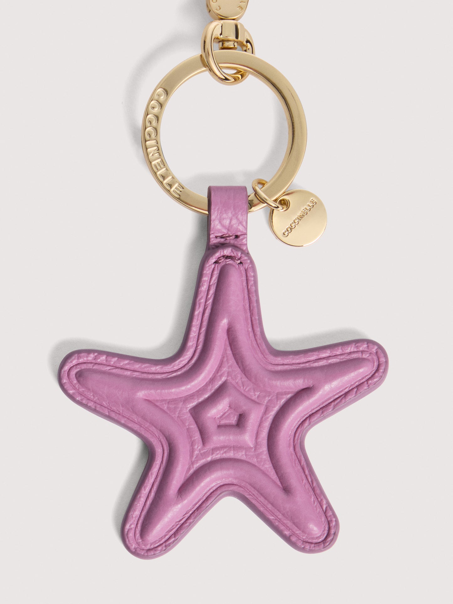 コチネッレシェル