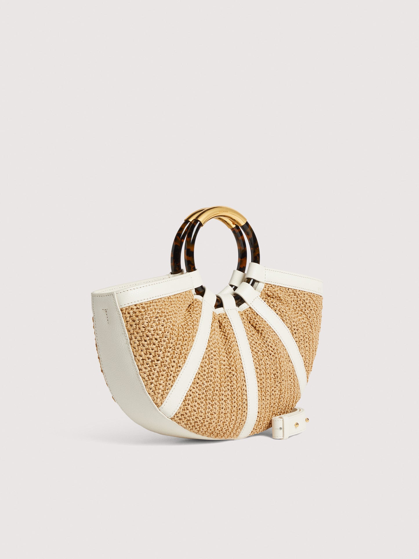 コチネッレシェル ミディアム