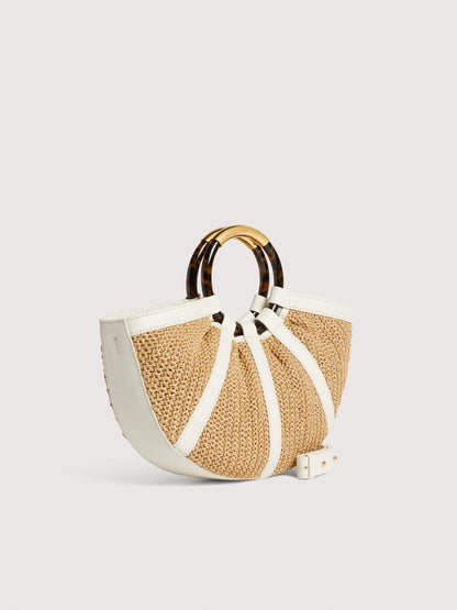 コチネッレシェル ミディアム