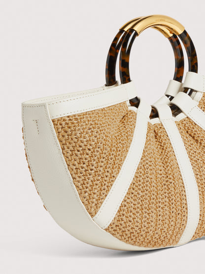 コチネッレシェル ミディアム