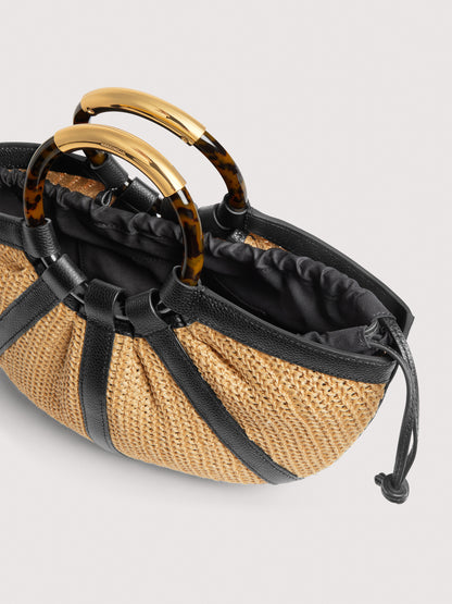 コチネッレシェル ミディアム