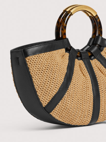 コチネッレシェル ミディアム