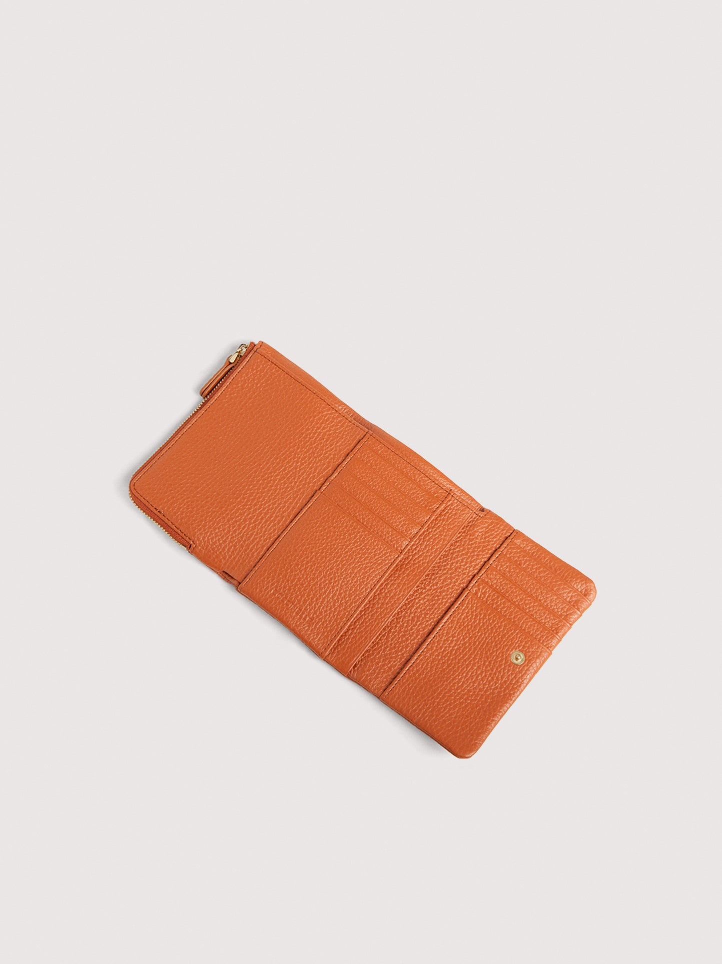 コチネッレC-ME ミニ