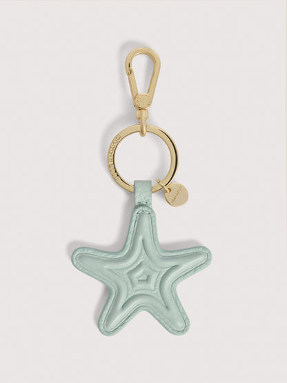 コチネッレシェル