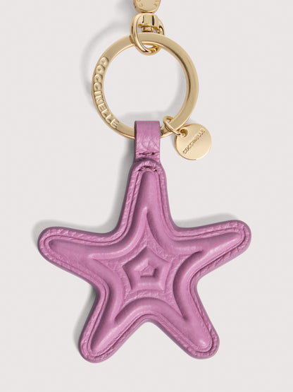 コチネッレシェル