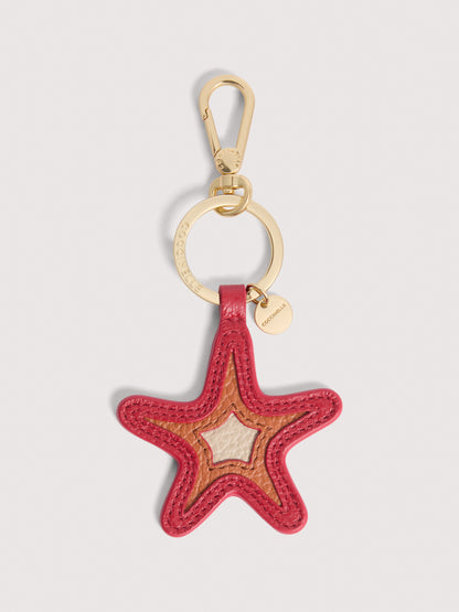 コチネッレシェル