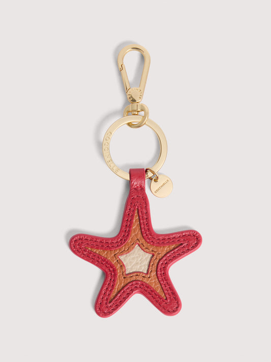 コチネッレシェル